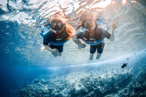 From Kihei: Molokini Snorkel 2-Hour Adventure