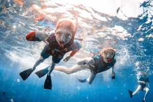 From Kihei: Molokini Snorkel 2-Hour Adventure