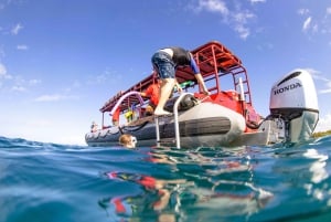 From Kihei: Molokini Snorkel 2-Hour Adventure