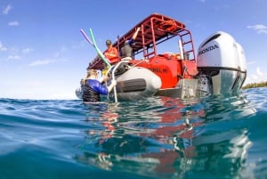 From Kihei: Molokini Snorkel 2-Hour Adventure