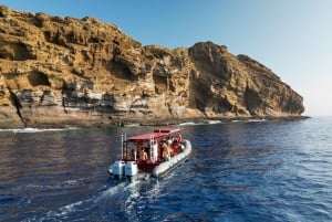 From Kihei: Molokini Snorkel 2-Hour Adventure