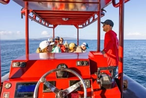 From Kihei: Molokini Snorkel 2-Hour Adventure