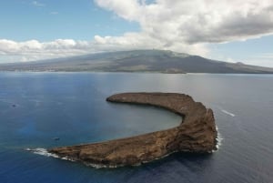 From Kihei: Molokini Snorkel 2-Hour Adventure