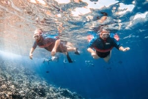 From Kihei: Molokini Snorkel 2-Hour Adventure