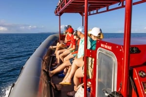 From Kihei: Molokini Snorkel 2-Hour Adventure