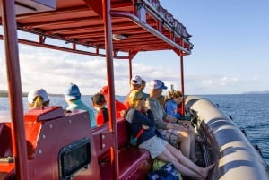 From Kihei: Molokini Snorkel 2-Hour Adventure