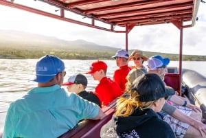 From Kihei: Molokini Snorkel 2-Hour Adventure