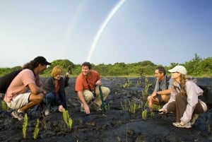 Vanuit Kona en Waikoloa: Kilauea Vulkaan Ontdekkingstocht