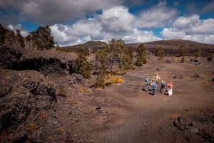 From Kona and Waikoloa: Kilauea Volcano Discovery Tour