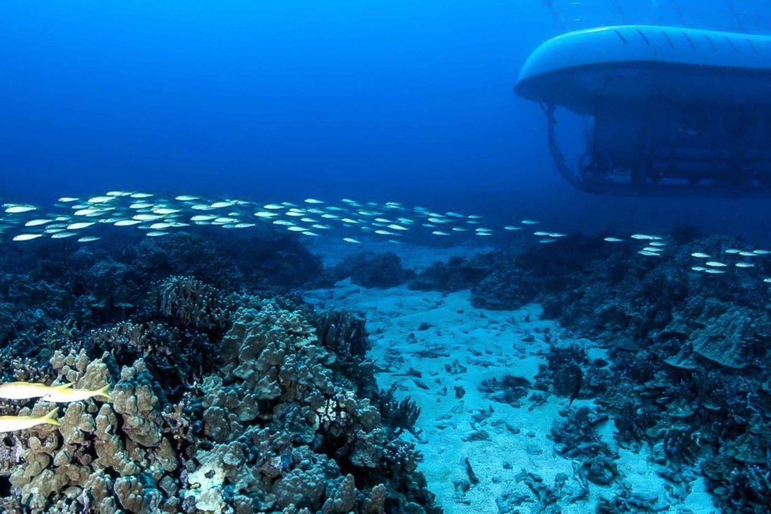 From Kona: Big Island Underwater Submarine Adventure