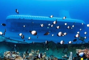 From Kona: Big Island Underwater Submarine Adventure