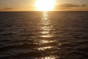 Van Kona: Honokohau-boottocht bij zonsondergang met drankjes en snacks