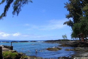Vanuit Kona: Vulkaan & Waterval Tour, kleine groep