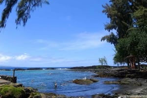 From Kona-Volcanoes & waterfall tour in a small group