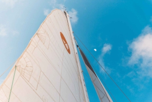 Vanuit Lahaina: walvisspotten tijdens het gouden uur aan boord van Alihilani