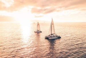 Vanuit Lahaina: walvisspotten tijdens het gouden uur aan boord van Alihilani