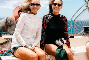 Vanuit Lahaina: walvisspotten tijdens het gouden uur aan boord van Alihilani