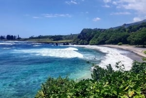 From Lahaina, Maui: Road to Hana Tour
