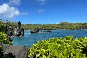 From Lahaina, Maui: Road to Hana Tour