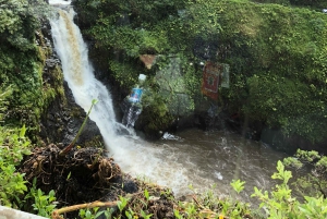 Lahainasta, Mauilta: Maina: Road to Hana Tour