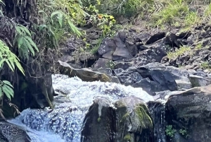 Lahainasta, Mauilta: Maina: Road to Hana Tour