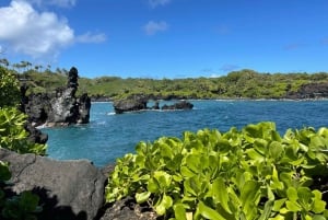 Lahainasta, Mauilta: Maina: Road to Hana Tour