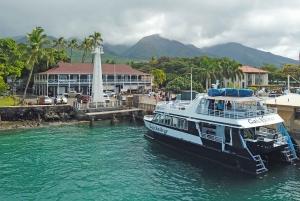 From Lahaina: Thanksgiving Dinner Cruise Aboard Quicksilver