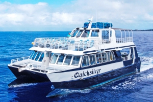 From Lahaina: Thanksgiving Dinner Cruise Aboard Quicksilver