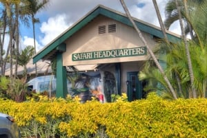 From Lihue: Kauai Sightseeing Helicopter Flight