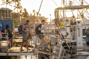 Au départ de Ma'alaea : Après-midi d'observation des baleines à bord du Malolo