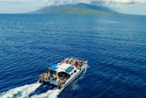 Au départ de Ma'alaea : Après-midi d'observation des baleines à bord du Malolo