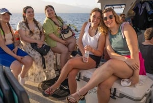 Au départ de Ma'alaea : Après-midi d'observation des baleines à bord du Malolo