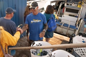 From Ma'alaea: Afternoon Whale Watch Tour Aboard the Malolo