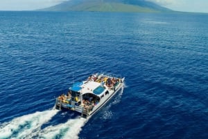 From Ma'alaea: Afternoon Whale Watch Tour Aboard the Malolo