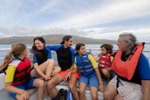 From Ma'alaea: Afternoon Whale Watch Tour Aboard the Malolo