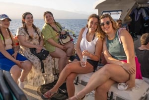 From Ma'alaea: Afternoon Whale Watch Tour Aboard the Malolo