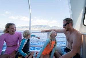 From Ma'alaea: AM Turtle Town Snorkel Aboard Quicksilver