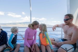 From Ma'alaea: AM Turtle Town Snorkel Aboard Quicksilver