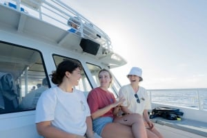 From Ma'alaea: AM Turtle Town Snorkel Aboard Quicksilver