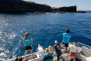 From Ma'alaea: AM Turtle Town Snorkel Aboard Quicksilver