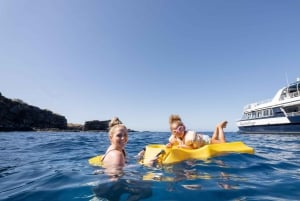 From Ma'alaea: AM Turtle Town Snorkel Aboard Quicksilver
