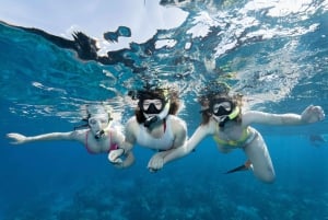 From Ma'alaea: AM Turtle Town Snorkel Aboard Quicksilver