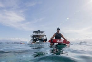 From Ma'alaea: AM Turtle Town Snorkel Aboard Quicksilver