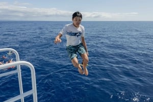 From Ma'alaea: AM Turtle Town Snorkel Aboard Quicksilver