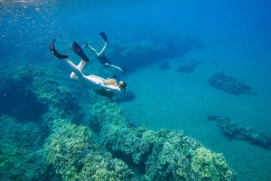 Desde Maalaea: Aventura de 3 horas de snorkel y vela en Turtle Town