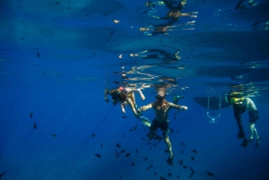 Au départ de Maalaea : Aventure de 3 heures de plongée en apnée et de voile à Turtle Town