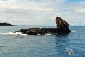 Fra Ma'alaea havn: Snorkel- og delfineventyr på Lana'i