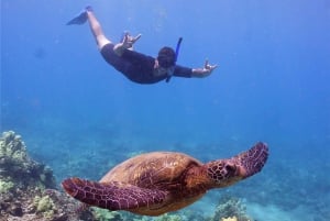 Vanuit de haven van Ma'alaea: Lana'i snorkelen en dolfijn avontuur