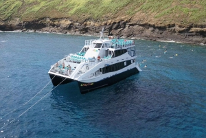 From Ma'alaea Harbor: Molokini Snorkeling Adventure