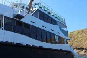 From Ma'alaea Harbor: Molokini Snorkeling Adventure